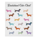 Pesquisar por cão de salsicha pósteres pôsteres Qualquer pessoa