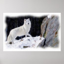Pesquisar por lobo branco pôsteres Pintura