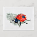 Pesquisar por lady bug cartoes postais Inseto