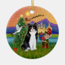 Pesquisar por natal do gato preto ornamentos Gatos