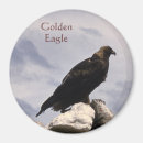 Pesquisar por eagle imas Natureza