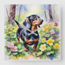Pesquisar por dachshund relogios de parede Cachorro salsicha