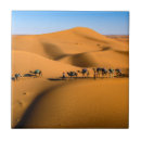 Pesquisar por camelos azulejos Céu