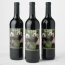 Pesquisar por bambu armazenamento alimentos Floresta