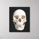 Pesquisar por a anatomia dos ossos impressão de canvas Ciência da vida