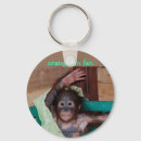 Pesquisar por primata chaveiros Orangotango