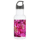Pesquisar por rosa vermelha garrafa agua Natureza