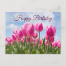 Pesquisar por tulipa azul cartoes Rosa
