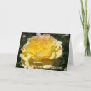 Pesquisar por boa vida cartoes Rosa