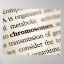 Pesquisar por cromossomas pósteres pôsteres Biologia