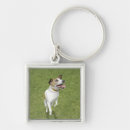 Pesquisar por jack russell terrier chaveiros Branco