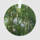 Pesquisar por palmeiras ornamentos Ilha