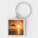 Pesquisar por golfinho de bottlenose Animal