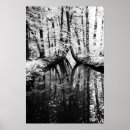 Pesquisar por reflexivo pôsteres Branco