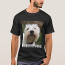 Pesquisar por westies roupas West highland terrier