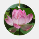 Pesquisar por lotus ornamentos Natureza