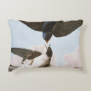 Pesquisar por andorinhas lar decoração Pássaros de américa