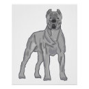Pesquisar por cane corso pôsteres Córneo