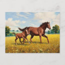 Pesquisar por pintura do cavalo cartoes postais Vintage