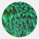 Pesquisar por o fundo verde adesivos Folha