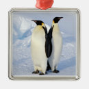 Pesquisar por pinguim imperador ornamentos Animais selvagens
