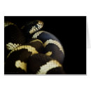 Pesquisar por cobra cartoes Natureza