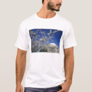 Pesquisar por festival das flores de cerejeira camisetas Ponto turístico