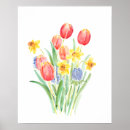 Pesquisar por vermelho da tulipa pósteres pôsteres Tulipas cor de rosa