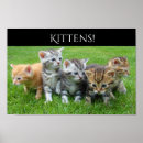 Pesquisar por gatinho pósteres pôsteres For kids