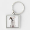 Pesquisar por empresa de pequeno porte chaveiros Animais