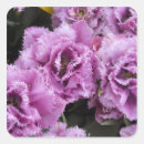 Pesquisar por holland adesivos Europe