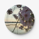 Pesquisar por cherry blossom pratos Natureza