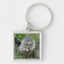 Pesquisar por marmota chaveiros Animais