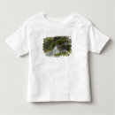 Pesquisar por catarata camisetas Arco íris