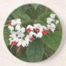 Pesquisar por videiras porta copos Flor