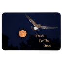 Pesquisar por alcance imas Motivação