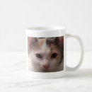 Pesquisar por kitten canecas Felino