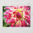 Pesquisar por eu amo plantas cartoes postais Flor