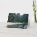 Pesquisar por netuno cartoes Neofone