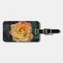 Pesquisar por paz bagagem tags Flor