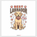 Pesquisar por weimaraner adesivos Amante