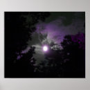 Pesquisar por céu nocturno Roxo