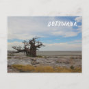 Pesquisar por baobab cartoes postais Paisagem