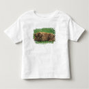 Pesquisar por bezerro camisetas Terras altas