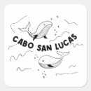 Pesquisar por luca adesivos Cabo san lucas