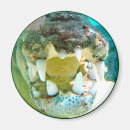 Pesquisar por crocs imas Natureza