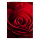 Pesquisar por aroma cartoes postais Arte