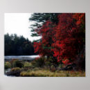 Pesquisar por foliage pôsteres Autumn