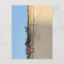 Pesquisar por dia das mães da avó cartoes Feriado