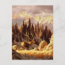 Pesquisar por colorado cartoes postais Floresta